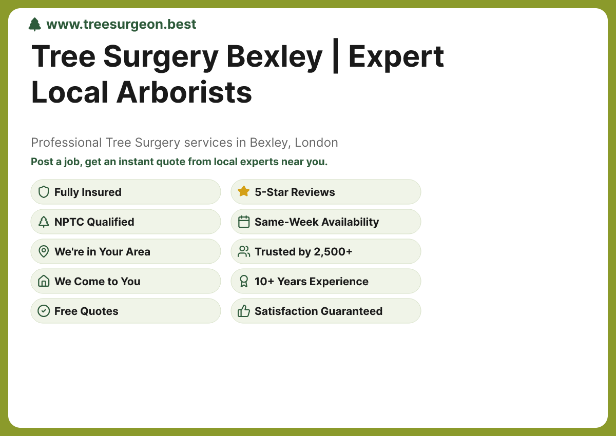 Tree Surgery in Bexley - Professional Tree Surgery Services by TreeSurgeon.Best