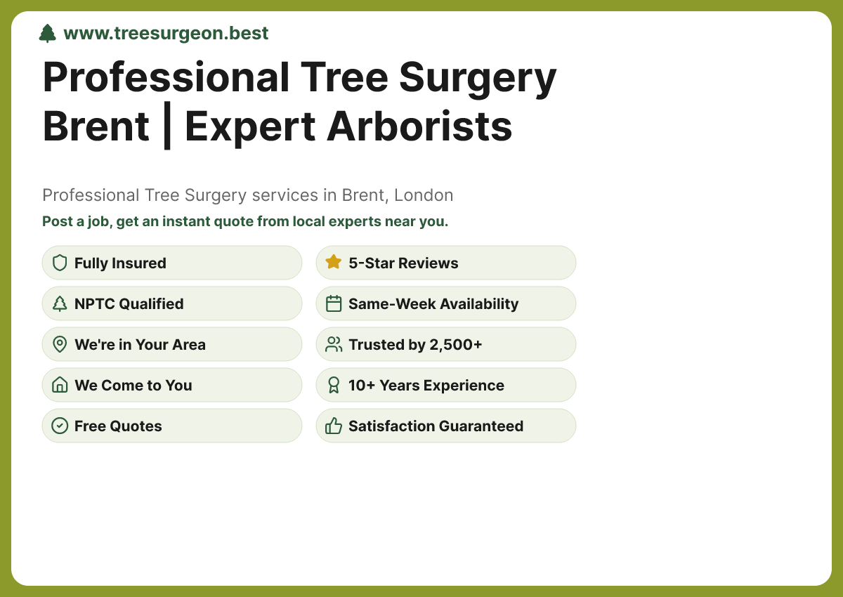 Tree Surgery in Brent - Professional Tree Surgery Services by TreeSurgeon.Best