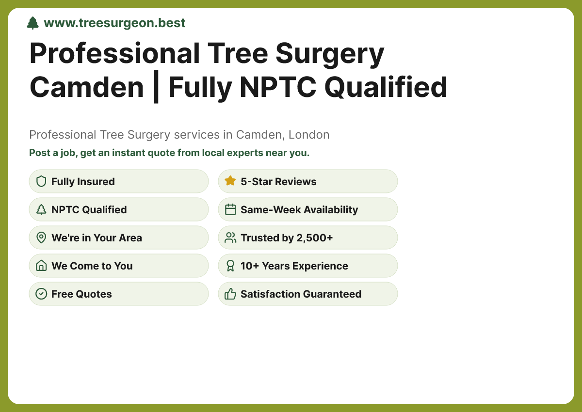 Tree Surgery in Camden - Professional Tree Surgery Services by TreeSurgeon.Best