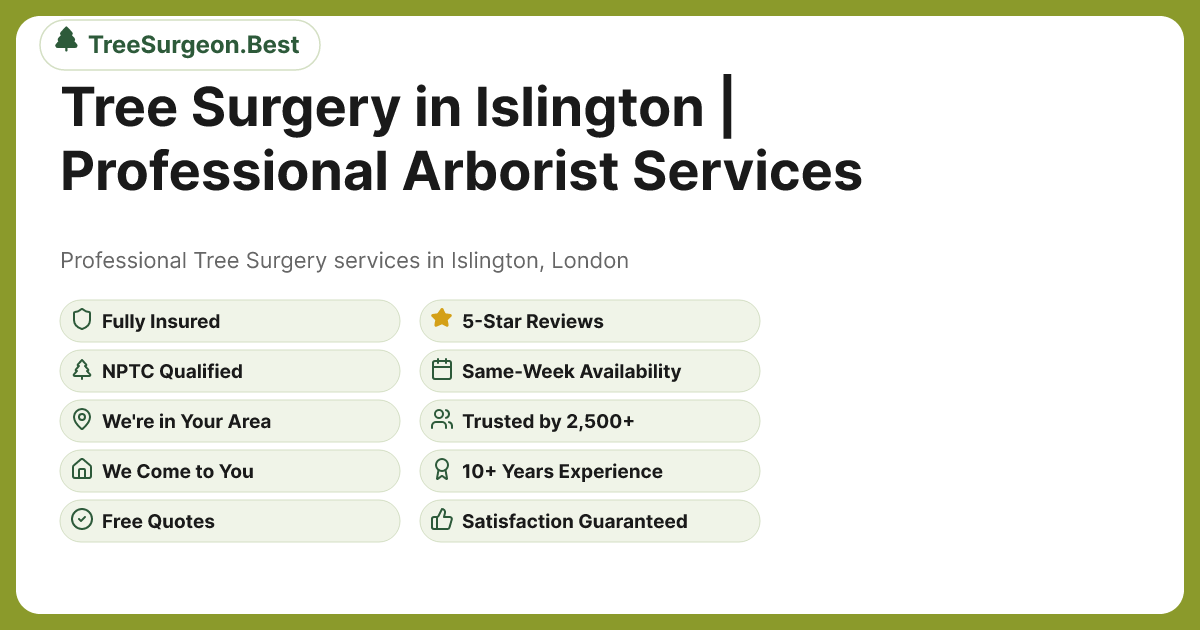 Tree Surgery in Islington - Professional Tree Surgery Services by TreeSurgeon.Best